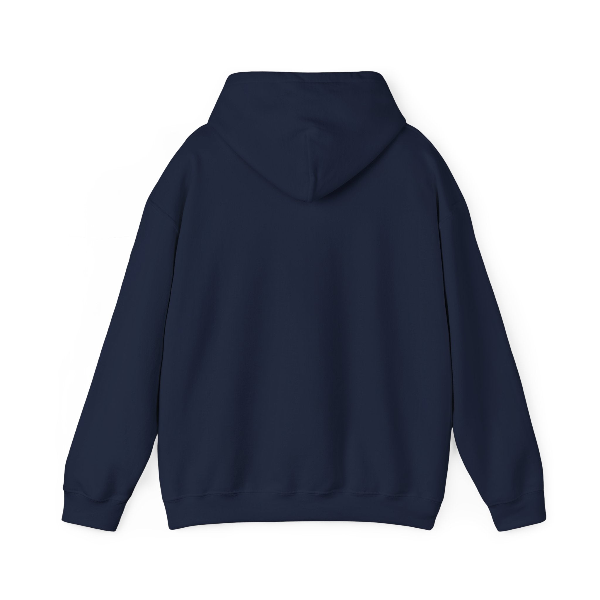Hoodie — 'Can't Stop, Carry On' Sunset Fishing Graphic