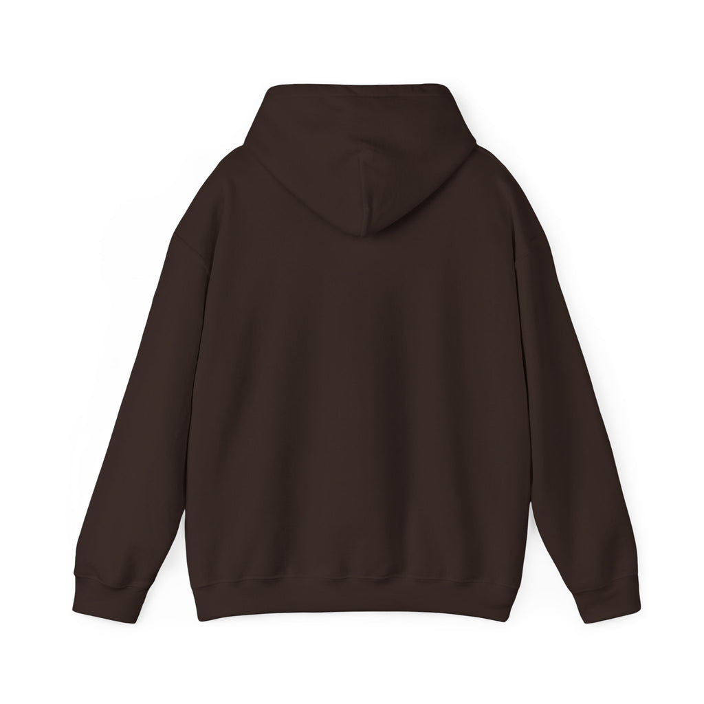 Hoodie — 'Can't Stop, Carry On' Sunset Fishing Graphic