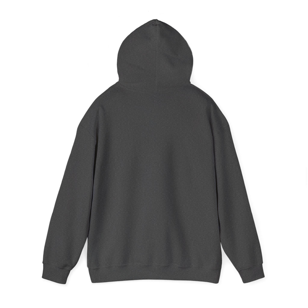 Hoodie — 'Can't Stop, Carry On' Sunset Fishing Graphic