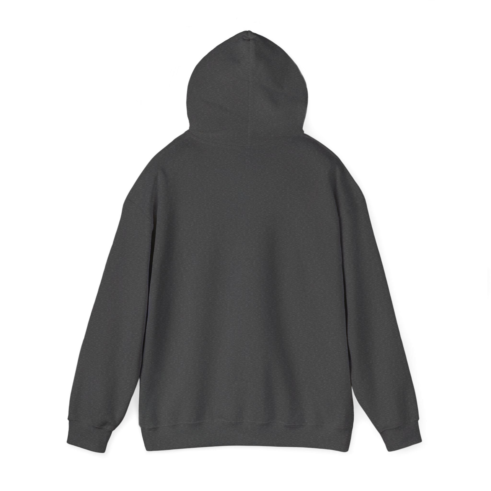Hoodie — 'Can't Stop, Carry On' Sunset Fishing Graphic