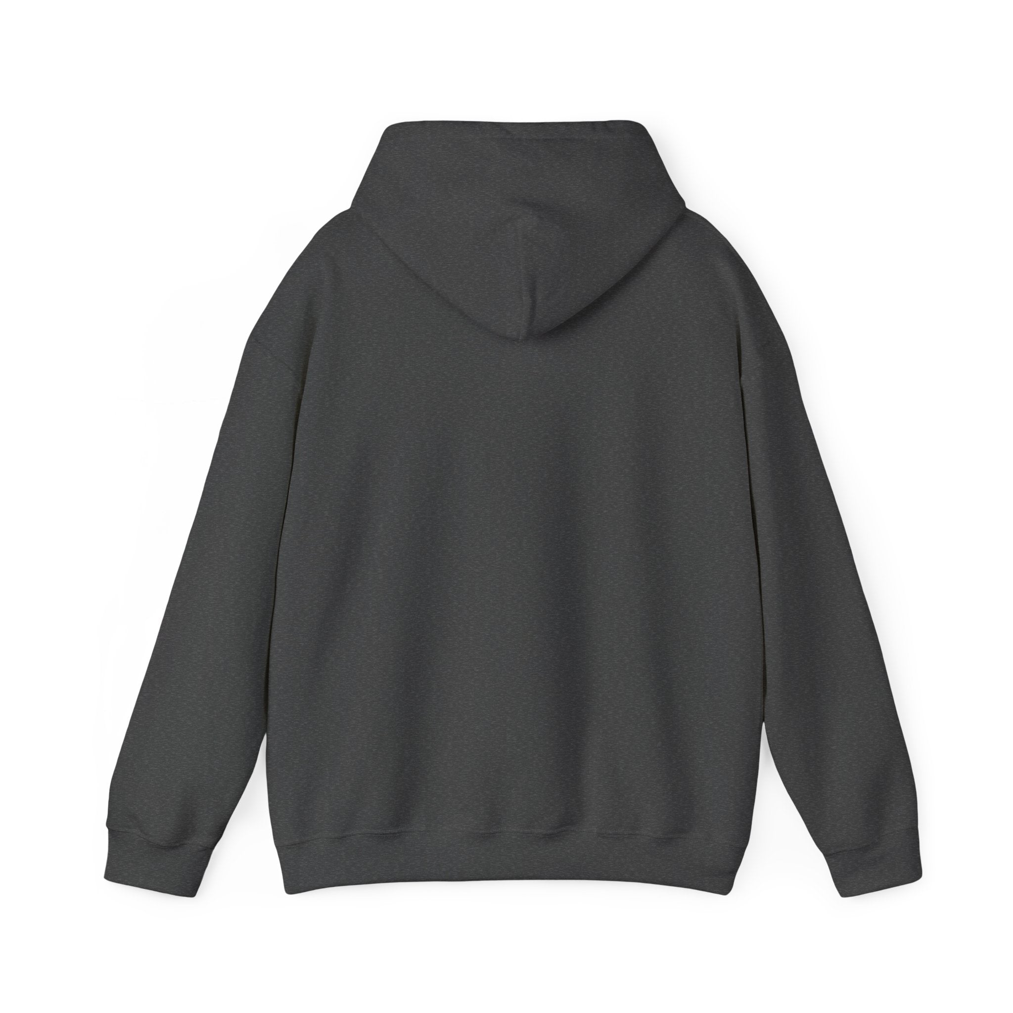 Hoodie — 'Can't Stop, Carry On' Sunset Fishing Graphic