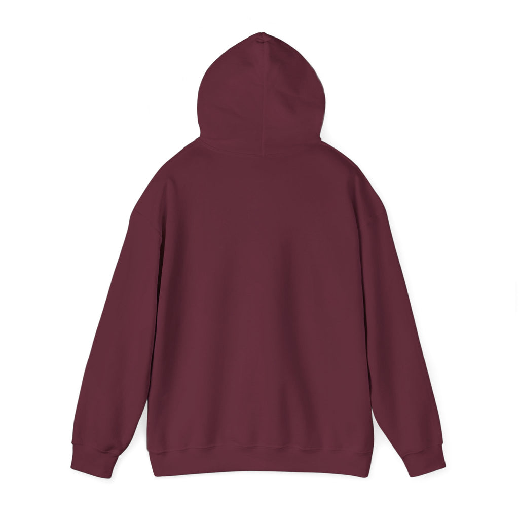 Hoodie — 'Can't Stop, Carry On' Sunset Fishing Graphic