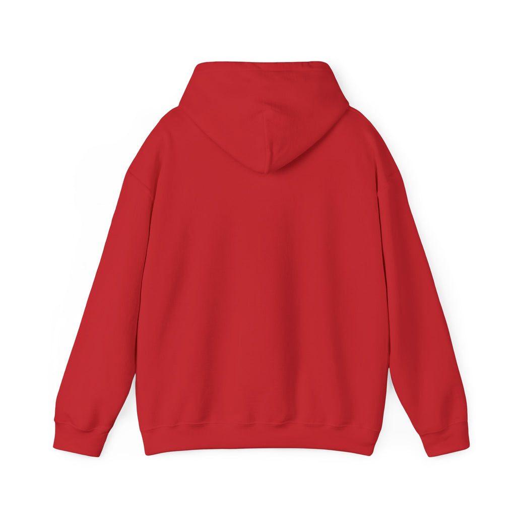 Hoodie — 'Can't Stop, Carry On' Sunset Fishing Graphic