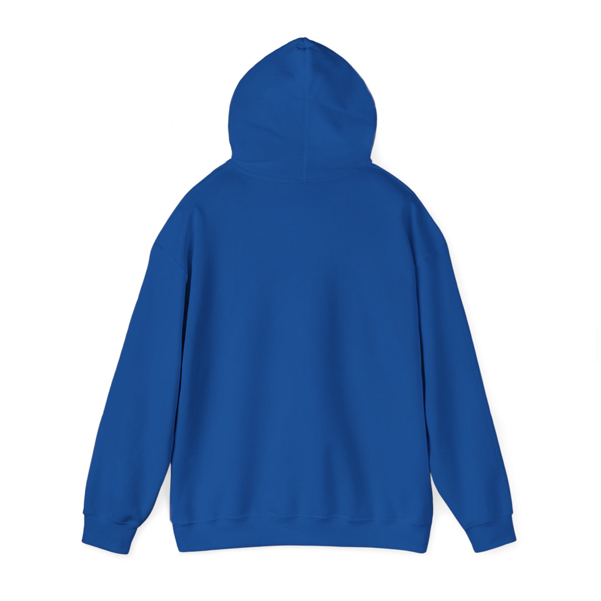 Hoodie — 'Can't Stop, Carry On' Sunset Fishing Graphic