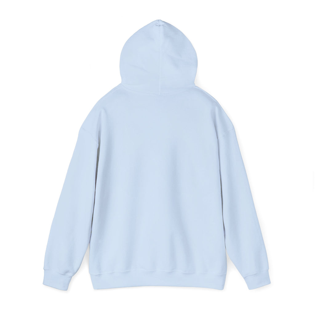 Hoodie — 'Can't Stop, Carry On' Sunset Fishing Graphic