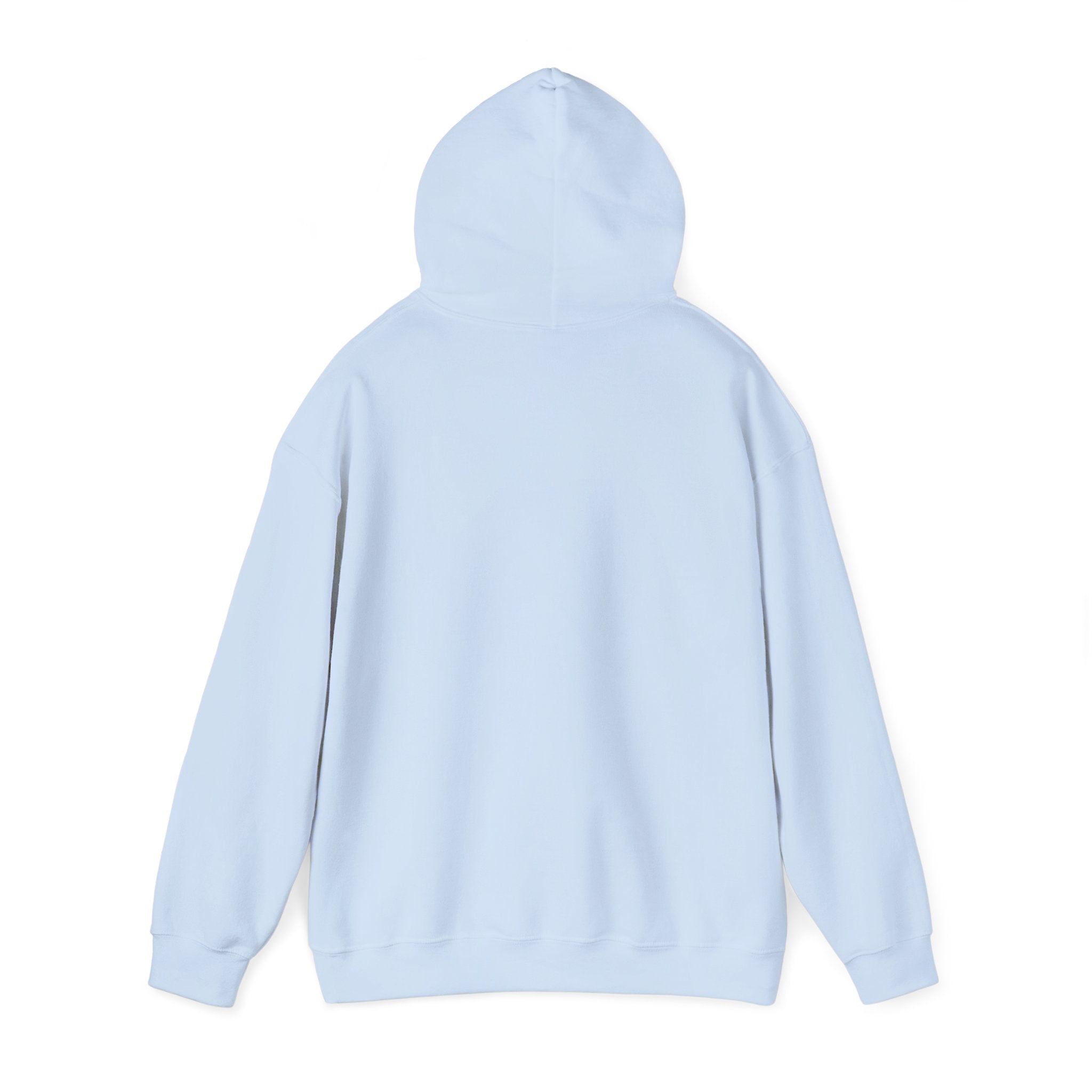 Hoodie — 'Can't Stop, Carry On' Sunset Fishing Graphic