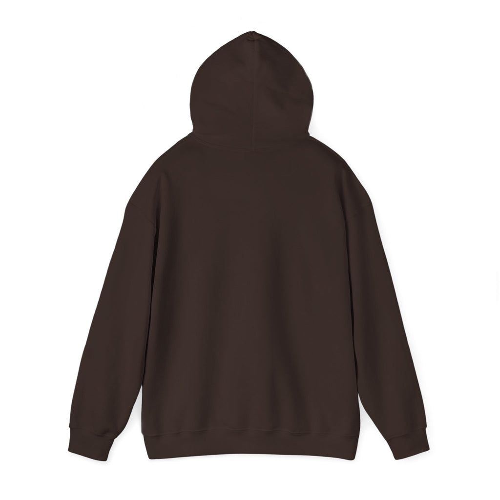 Hoodie — 'Can't Stop, Carry On' Sunset Fishing Graphic