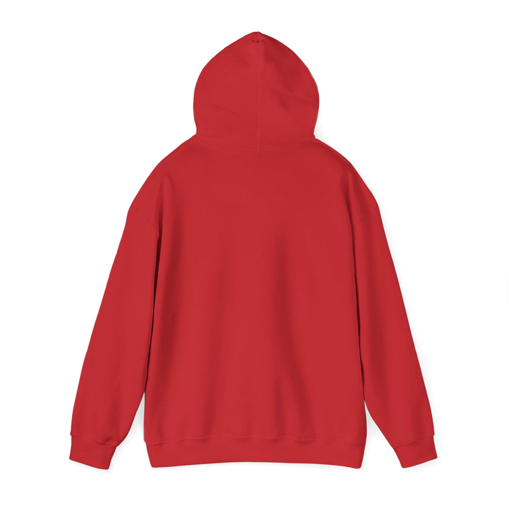 Hoodie — 'Can't Stop, Carry On' Sunset Fishing Graphic