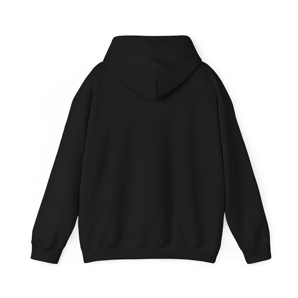 Hoodie — 'Can't Stop, Carry On' Sunset Fishing Graphic