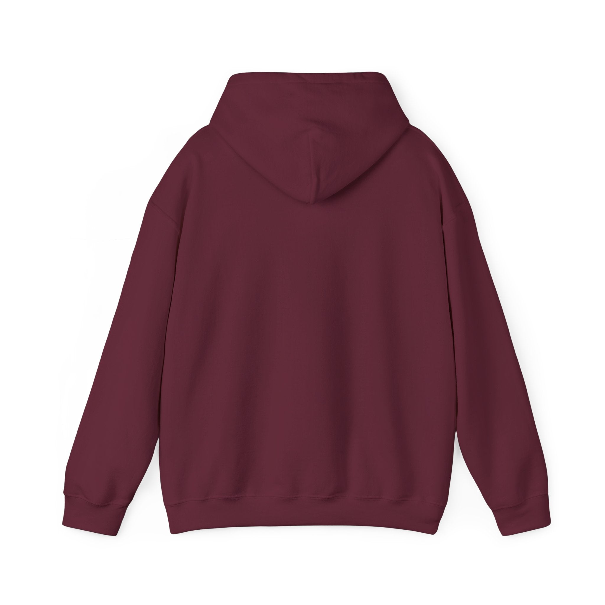 Hoodie — 'Can't Stop, Carry On' Sunset Fishing Graphic