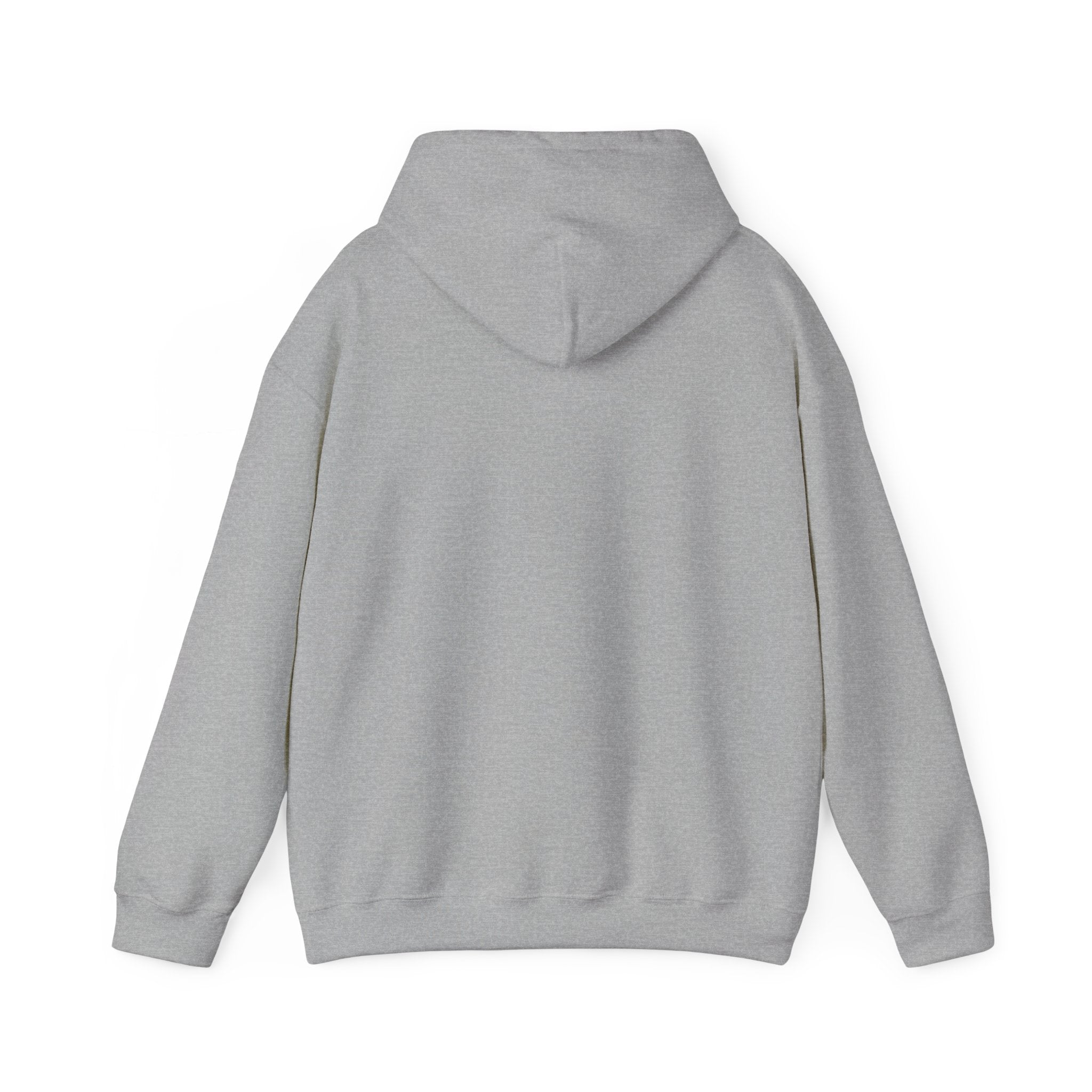 Hoodie — 'Can't Stop, Carry On' Sunset Fishing Graphic