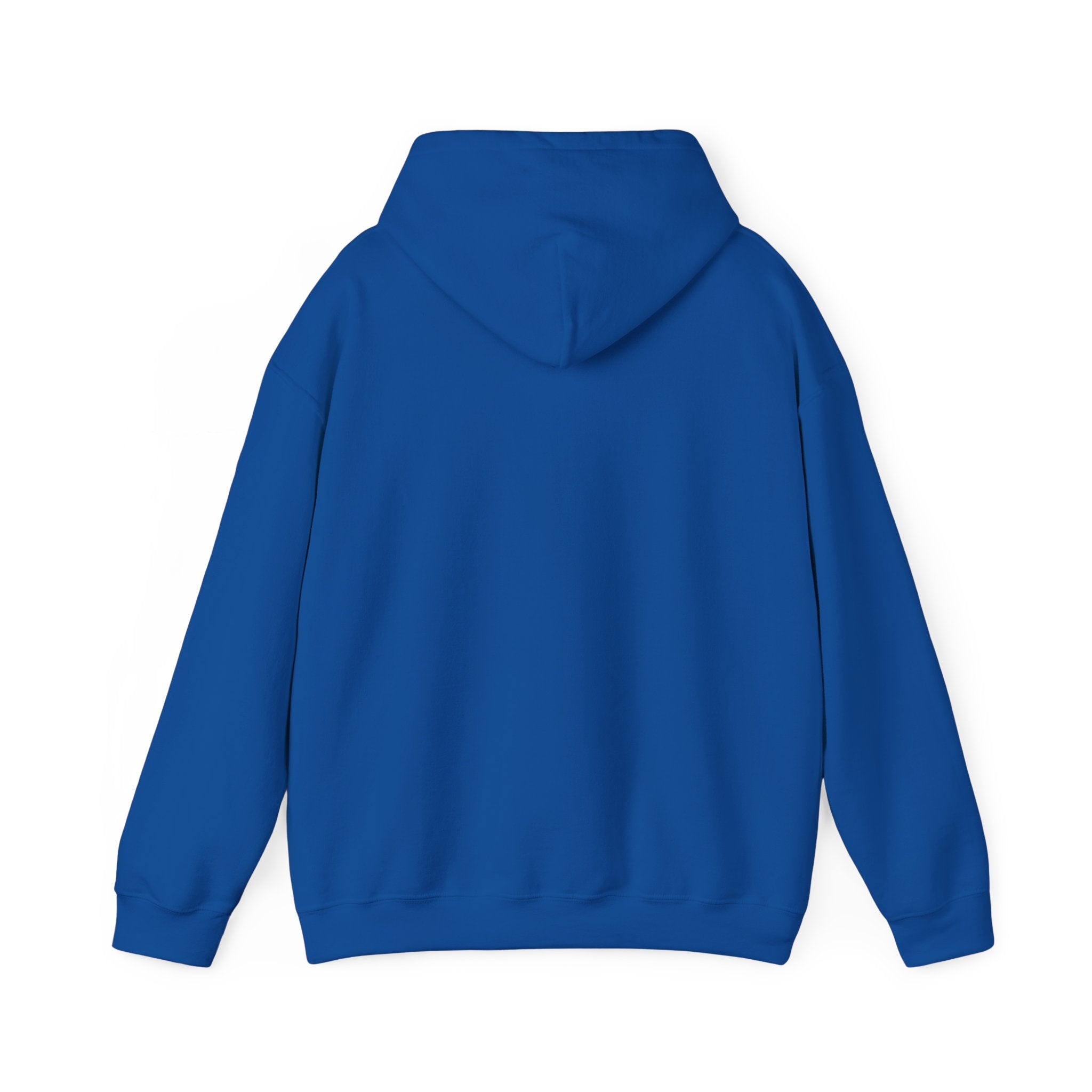 Hoodie — 'Can't Stop, Carry On' Sunset Fishing Graphic