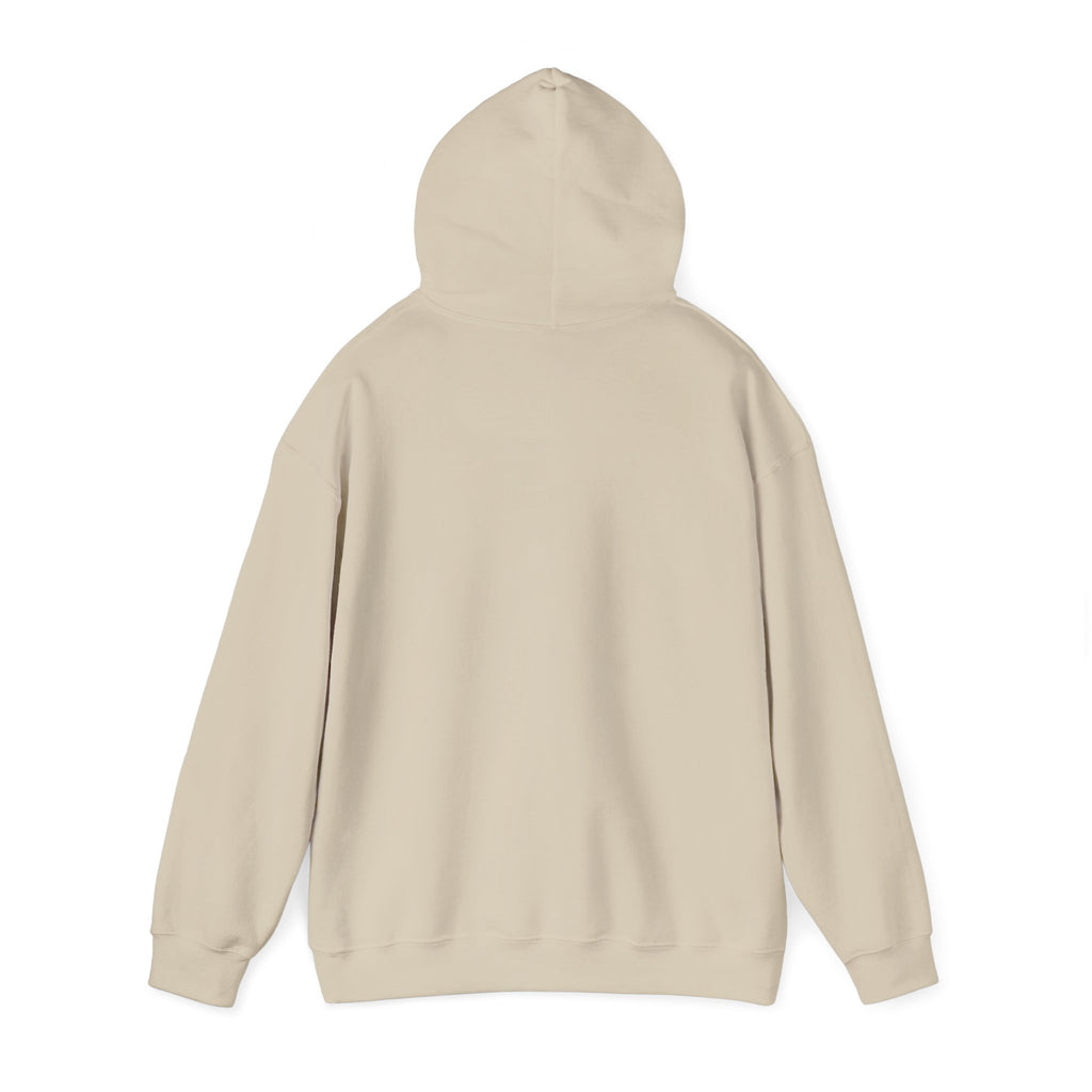 Hoodie — 'Can't Stop, Carry On' Sunset Fishing Graphic