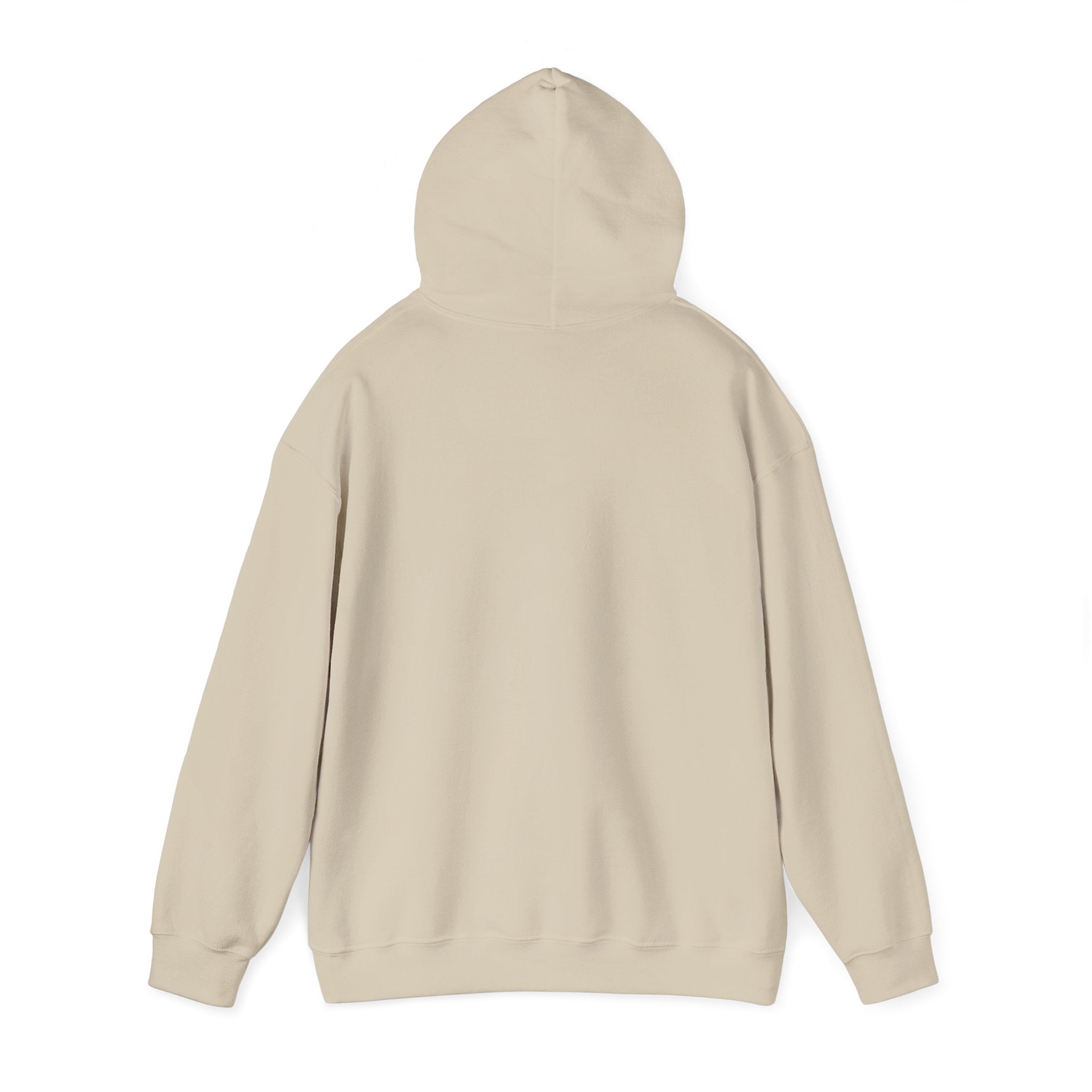 Hoodie — 'Can't Stop, Carry On' Sunset Fishing Graphic