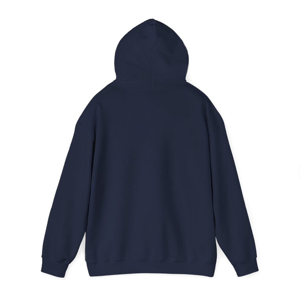 Hoodie — 'Can't Stop, Carry On' Sunset Fishing Graphic