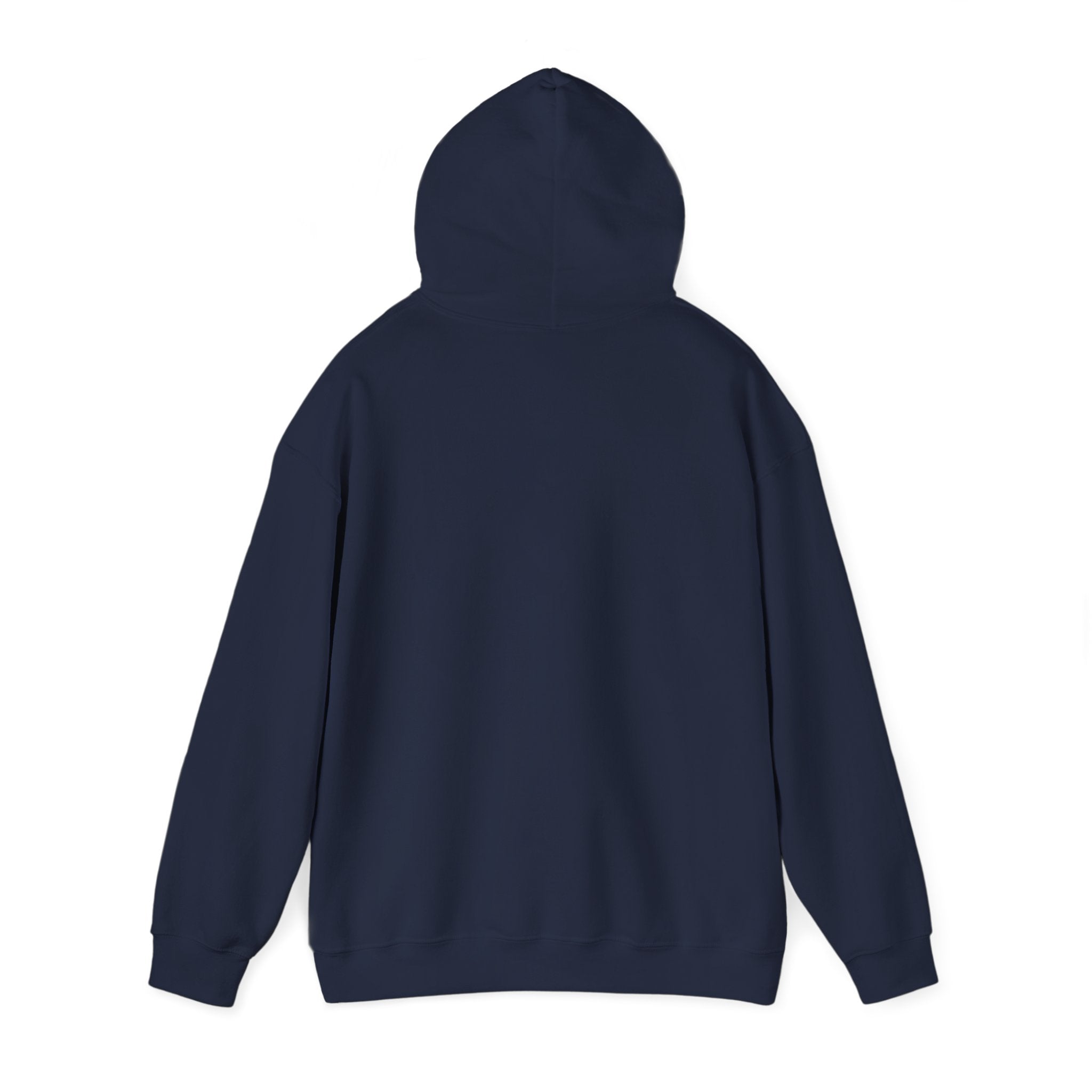 Hoodie — 'Can't Stop, Carry On' Sunset Fishing Graphic