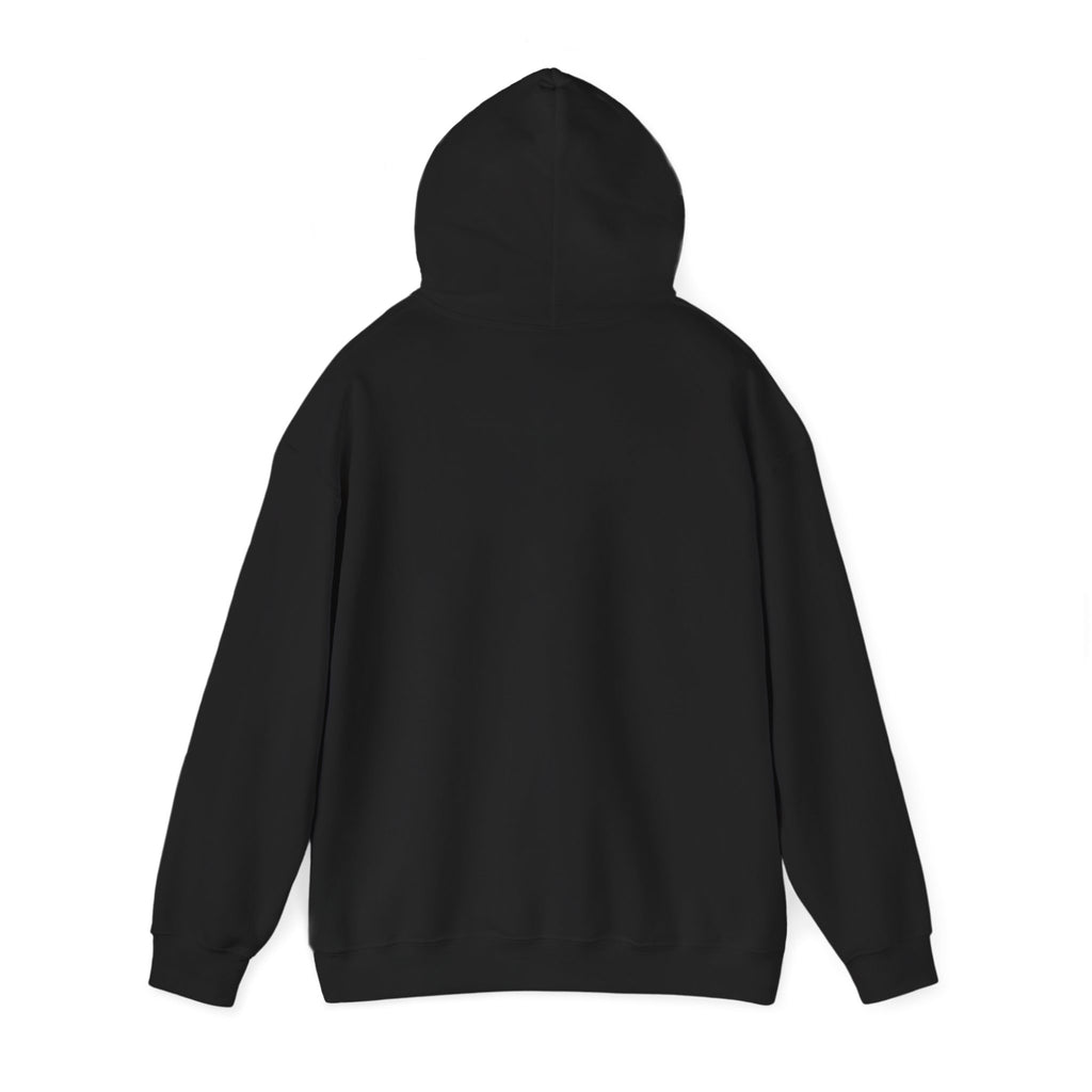 Hoodie — 'Can't Stop, Carry On' Sunset Fishing Graphic