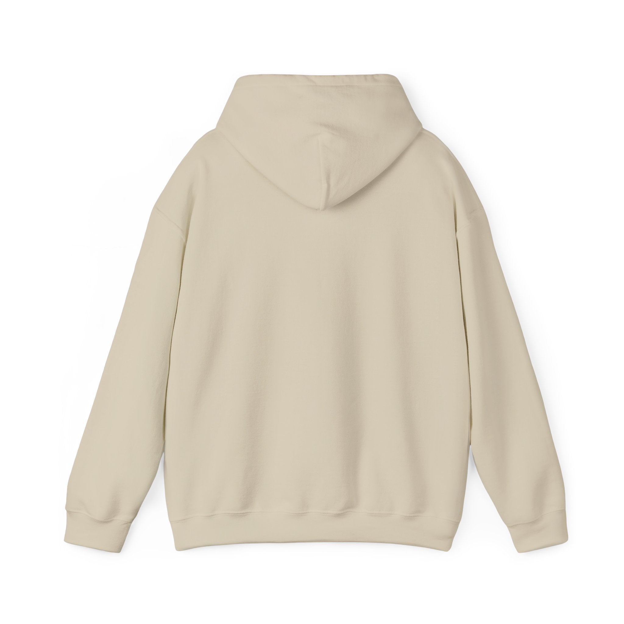 Hoodie — 'Can't Stop, Carry On' Sunset Fishing Graphic