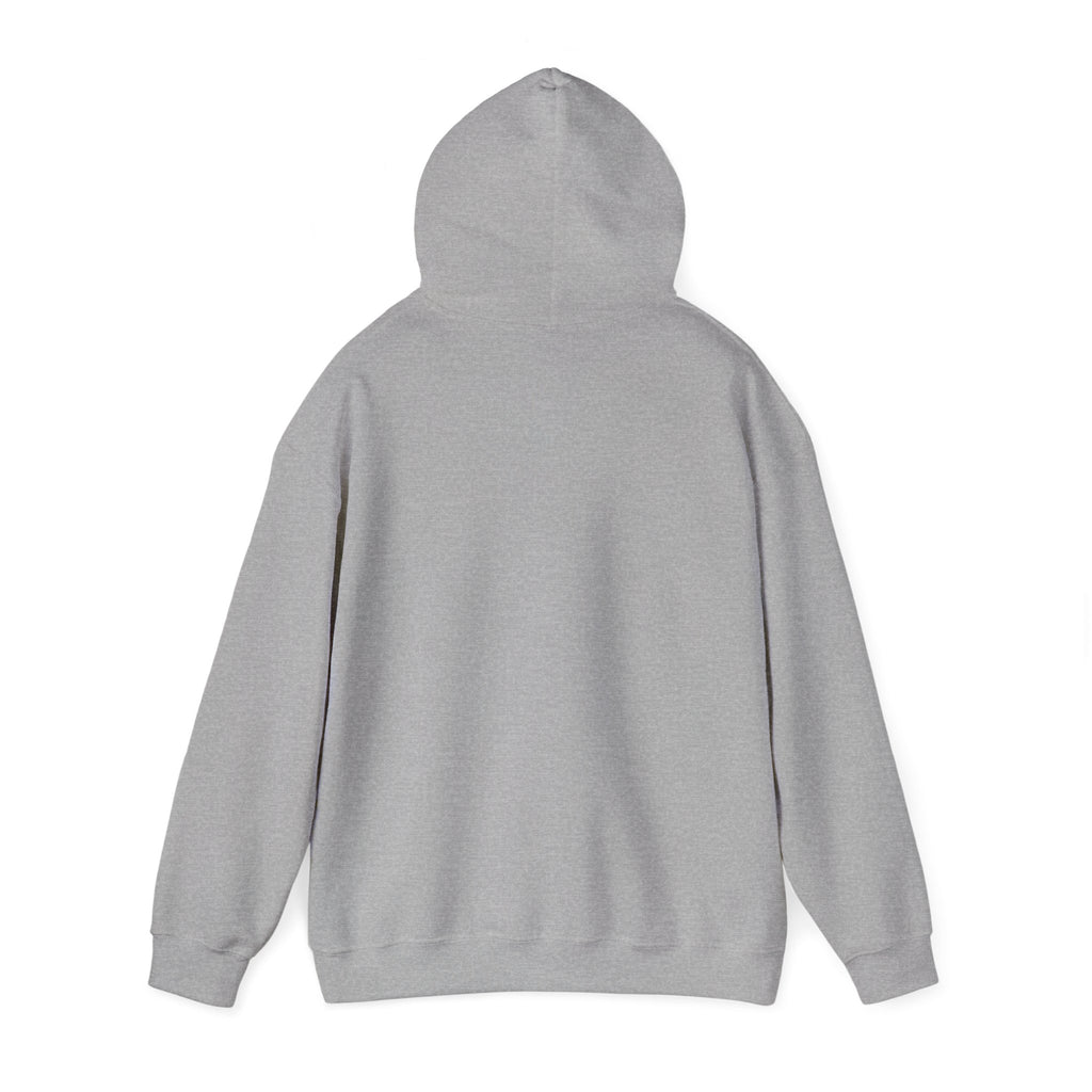 Hoodie — 'Can't Stop, Carry On' Sunset Fishing Graphic