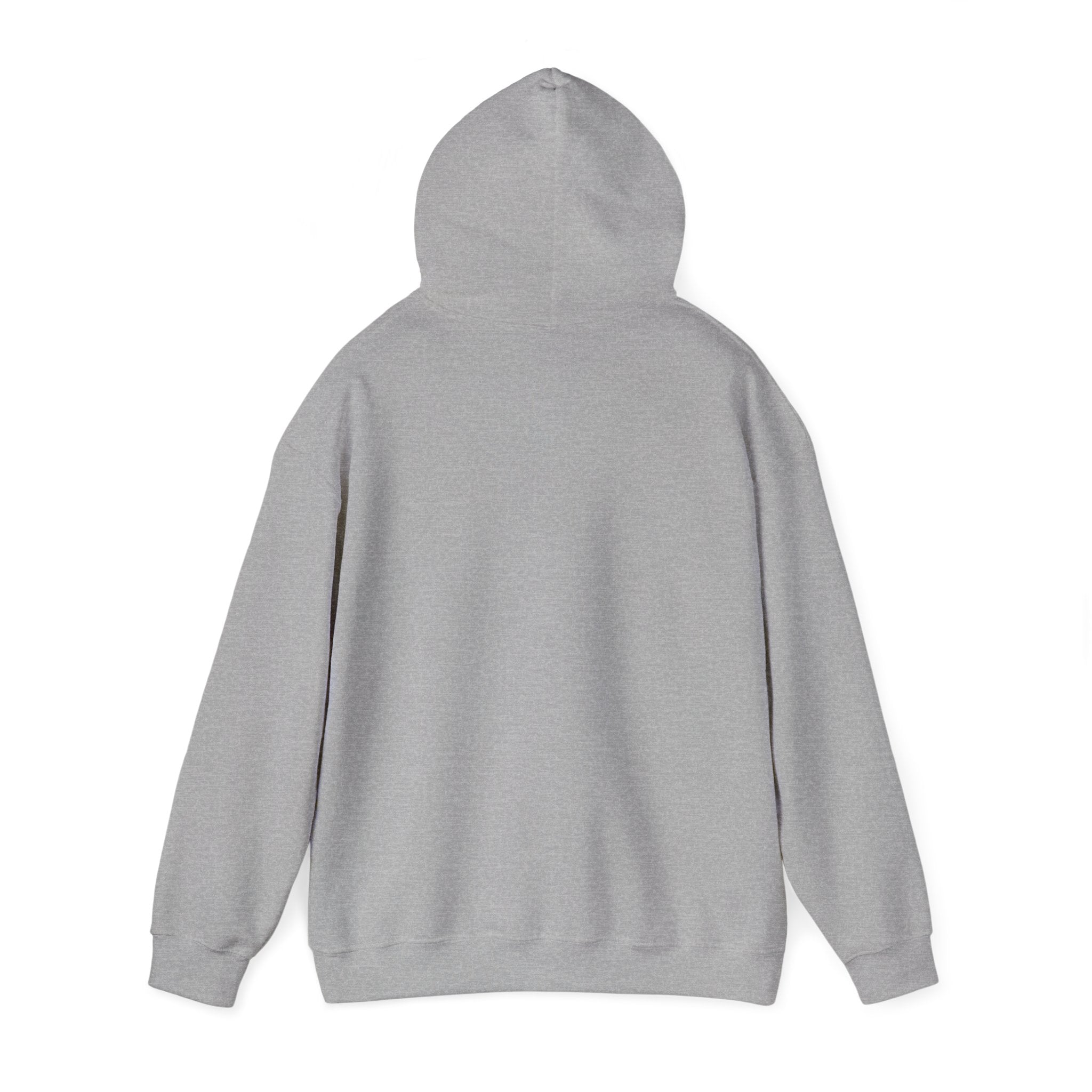 Hoodie — 'Can't Stop, Carry On' Sunset Fishing Graphic